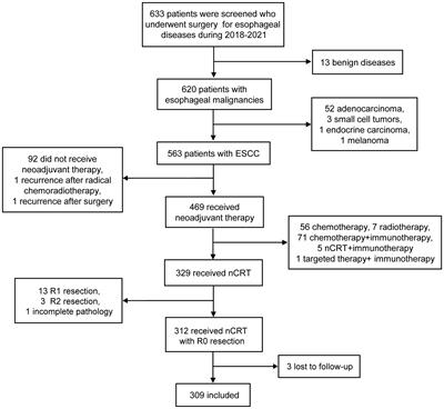 Recurrence timing and patterns incorporating lymph node status after neoadjuvant chemoradiotherapy plus esophagectomy for esophageal squamous cell carcinoma